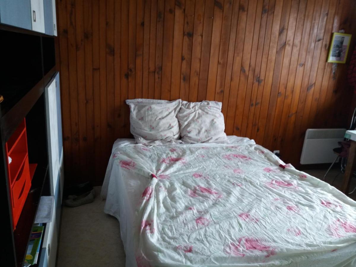 Apartment Aux Pieds Des Pistes Besse-et-Saint-Anastaise