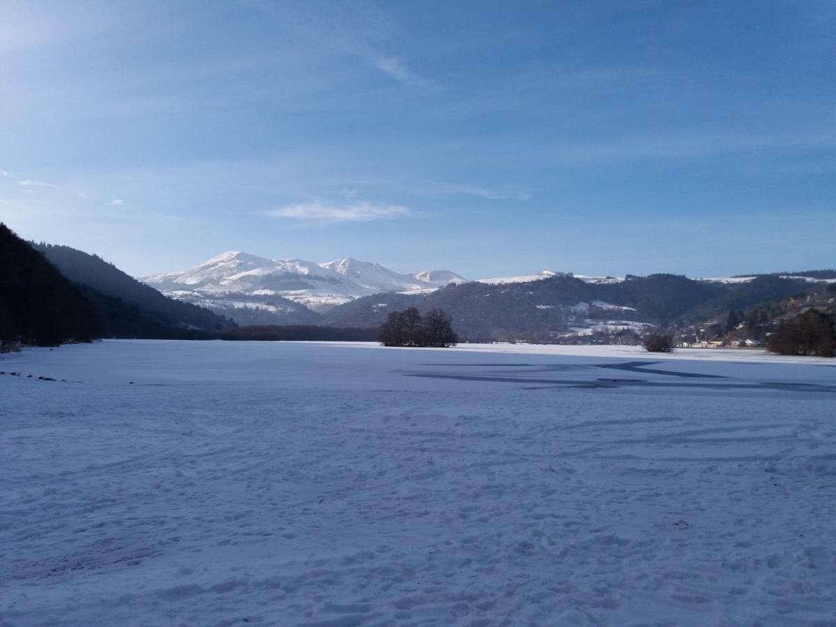 Aux Pieds Des Pistes Appartement Besse-et-Saint-Anastaise