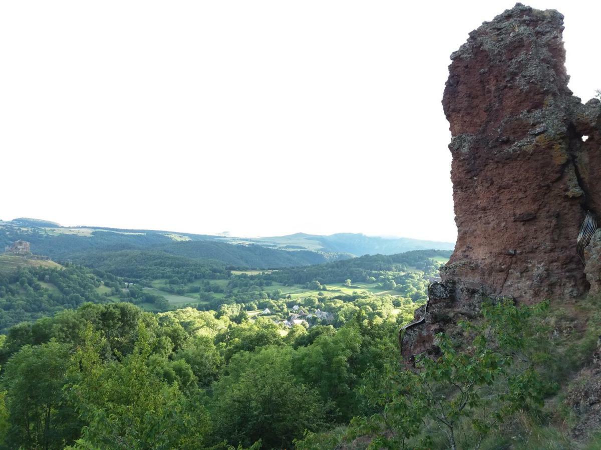 Aux Pieds Des Pistes Besse-et-Saint-Anastaise