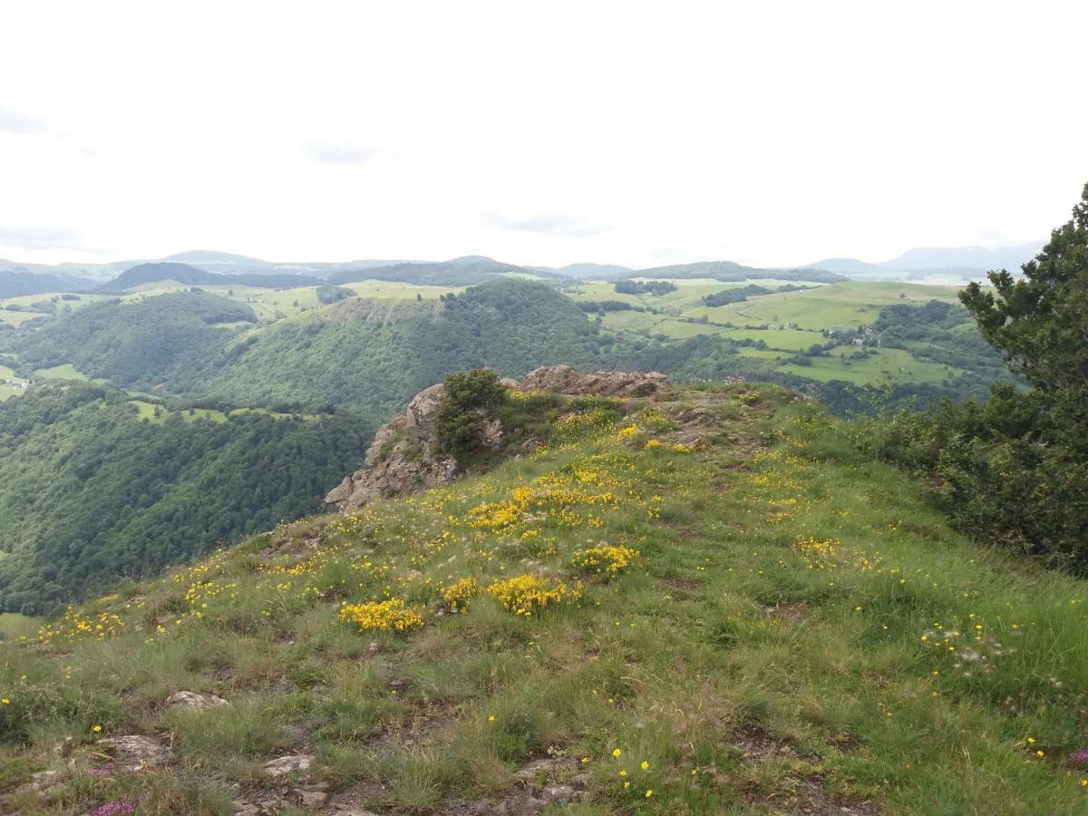 Aux Pieds Des Pistes *